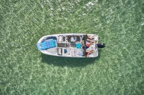 Bayliner M19