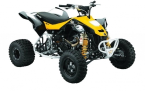 Keturratis motociklas Can Am DS 450 2x4 X MX EC 