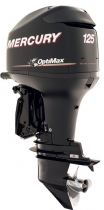 Pakabinamas variklis125 ELPT OptiMax